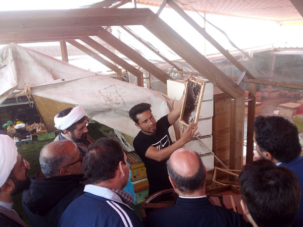 بازدید معاونان پرورشی مدارس قم از «شهر زنبورها»