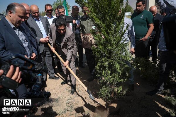 پویش «درخت‌‎کاری سرو ایران»
