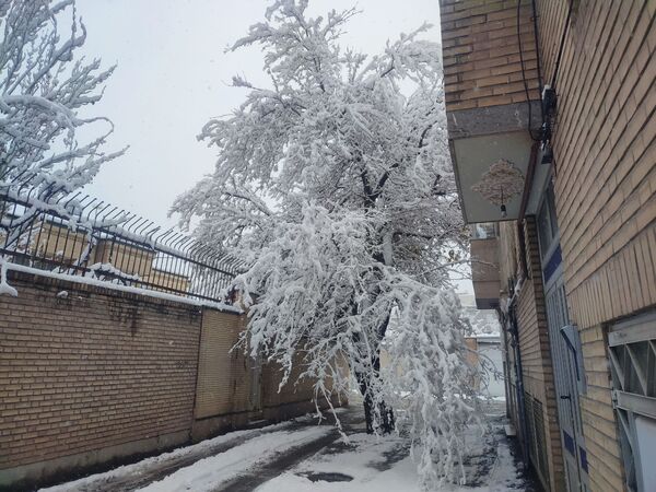 جلوه های زیبا از بارش برف در شهرستان نیشابور 