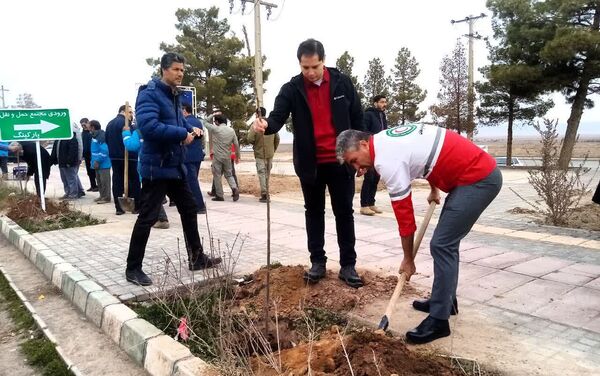 روز درختکاری در تربت جام