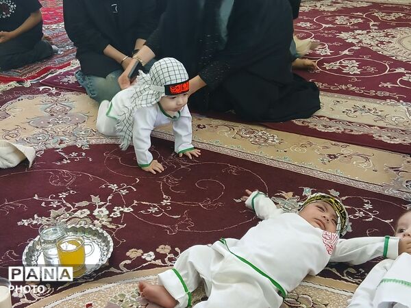 از نوزادی تا عشقِ بی‌کران؛ روایتِ اشک و ایمان در شبِ شیرخوارگان