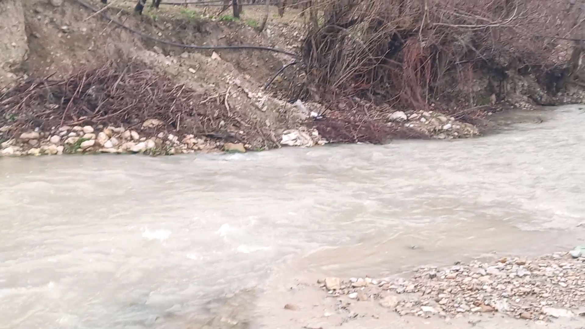 بارش باران بهاری در شهر بار