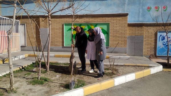 کاشت ۱۵۰ نهال در مدارس ملارد برای ایران سرسبز