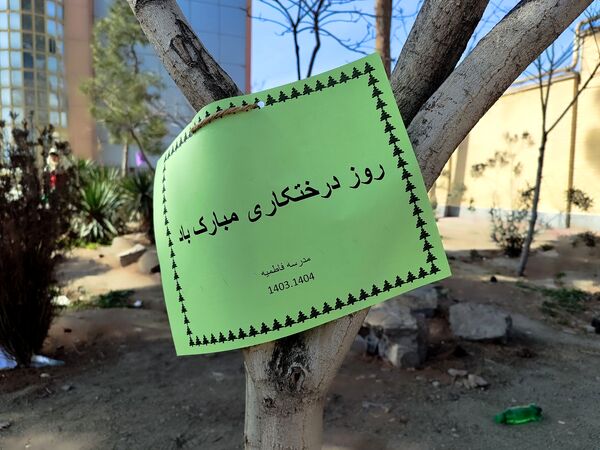 دانش‌آموزان و مسئولین شهرستان ملارد، در روز درختکاری جوانه‌های امید را به زمین هدیه دادند