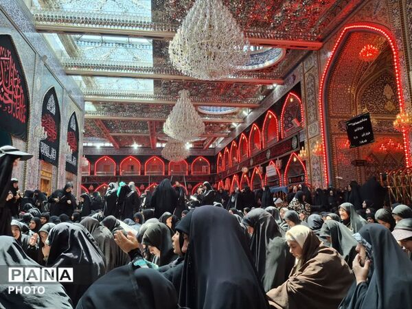 جایی که دل‌ها آرام می‌گیرد؛ گذری به روایت تصویر از آستان مقدس علوی تا حریم امن حسینی