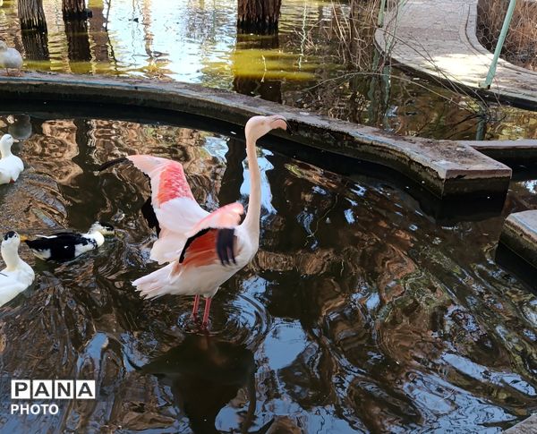 بازدید خبرنگاران پانا جلگه رخ از تربت حیدریه و آشنایی با میراث تاریخی و طبیعی 