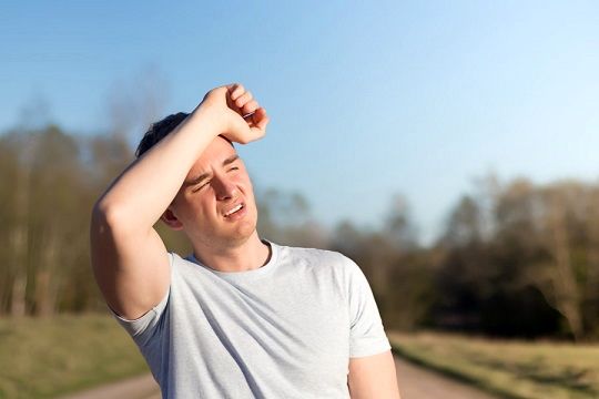 نوشیدن آب و پرهیز از آفتاب مستقیم حیاتی است