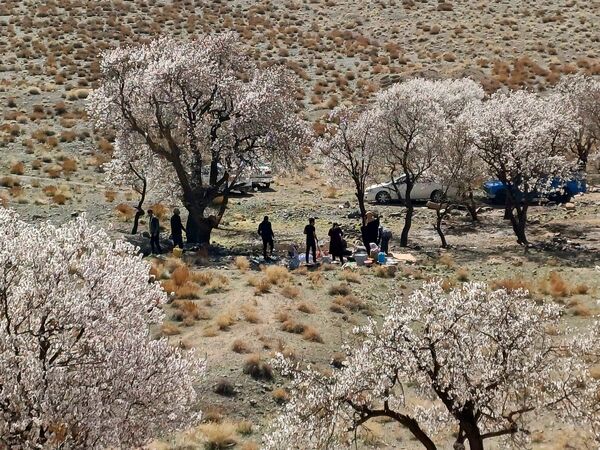 ۱۳ بدر :جشن طبیعت و نشاط در دل بهار