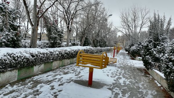 بروجن در پوشش سفیدی برف