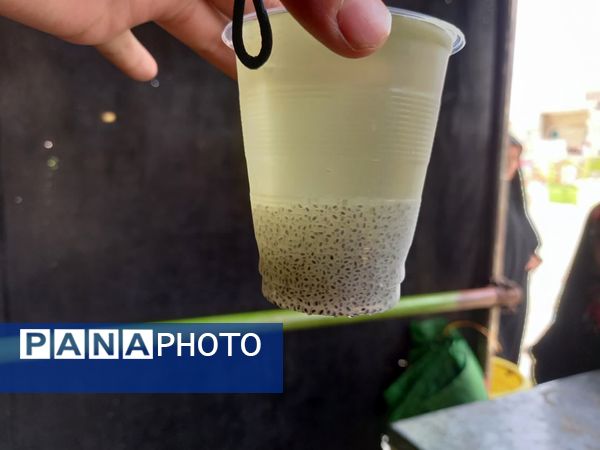 ویژه برنامه رهروان زینبی در آستان مقدس حضرت سیدان‌الکریمان 