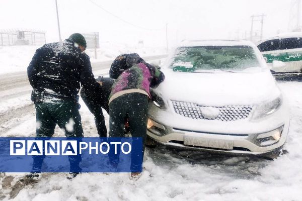 قابِ سفیدِ زمستان فـیـروزکــوه