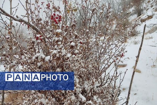 یک قدم مانده به زمستان طبیعت شهر بار کاملاً زمستانی شد