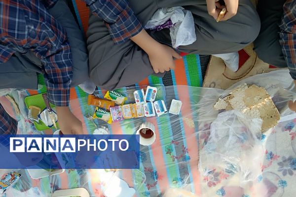 برگزاری صبحانه سلامت در دبستان علامه طباطبایی پیشوا