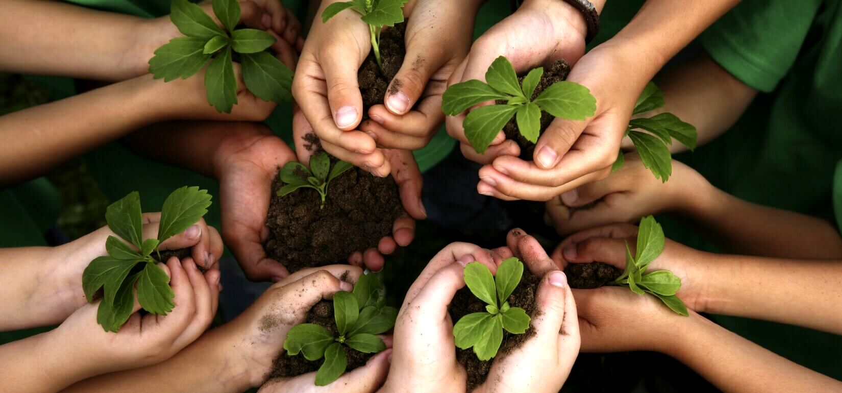آموزش مسائل محیط زیستی به دانش‌آموزان؛ تضمین زندگی فردا