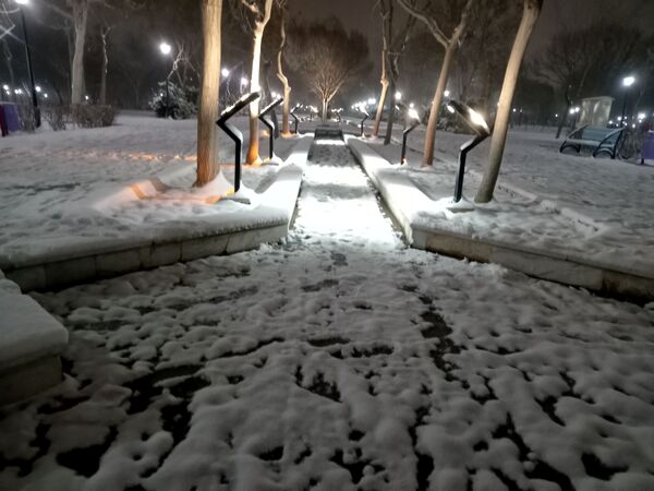 بارش برف در شهر مشهد 