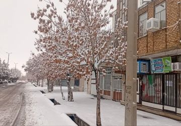 شازند سفیدپوش شد