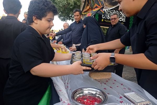 دل به دل، قدم به قدم مسیر عشق اربعین