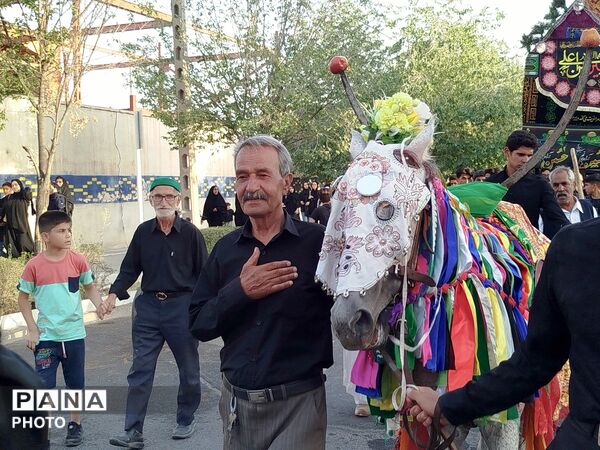 دسته بنی اسد در کاشمر 
