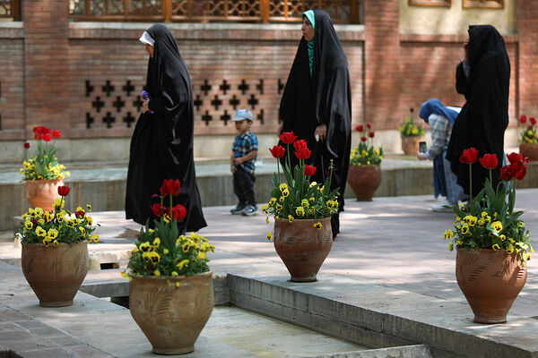 فصل لاله‌ها در بوستان باغ ایرانی