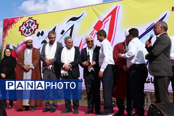 روستای آزادتپه میزبان جشنواره انار