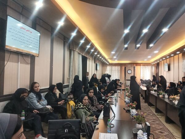توانمندسازی همیار مشاوران مدارس ناحیه ۳ شیراز