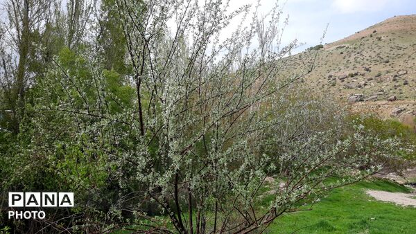 دهنو، نگین چهارمحال؛ کشف گنجینه‌ آرامش در آغوش طبیعت بکر