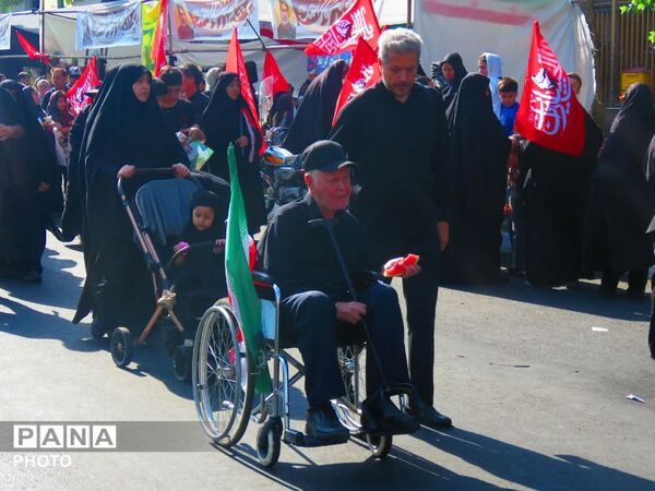 نبض دلتنگی در مسیر عاشقی