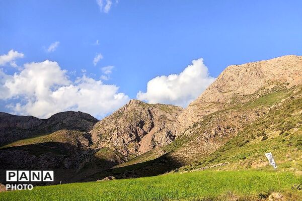 کوه های شهر بار ذخیره‌گاه گیاهان ارزشمند و کم نظیر دارویی 