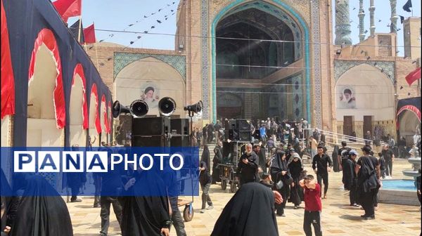 دل‌های جامانده، گرد حرم سلطان علی(ع) در مشهد اردهال به شور افتادند