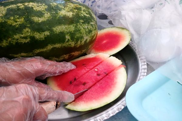 بازدید معاون اردویی گردشگری سازمان دانش‌آموزی از مواکب خوزستان