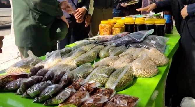 برگزاری جشنواره غذای سالم در منطقه رودخانه