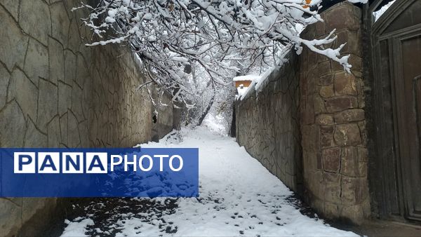 بارش برف در ارتفاعات شاندیز