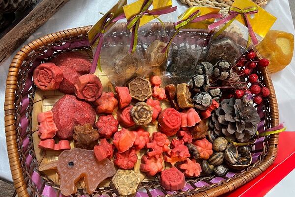 پایان کار نمایشگاه گیاهان دارویی پژوهش‌سرای کاوش کهریزک 