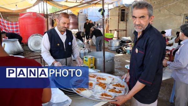 میلیون‌ها گام عاشقی؛ روایت حماسه اربعین حسینی از نجف تا کربلا
