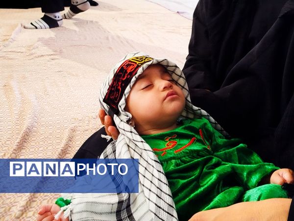 اجتماع عظیم شیرخوارگان حسینی در روستای عارف‌آباد