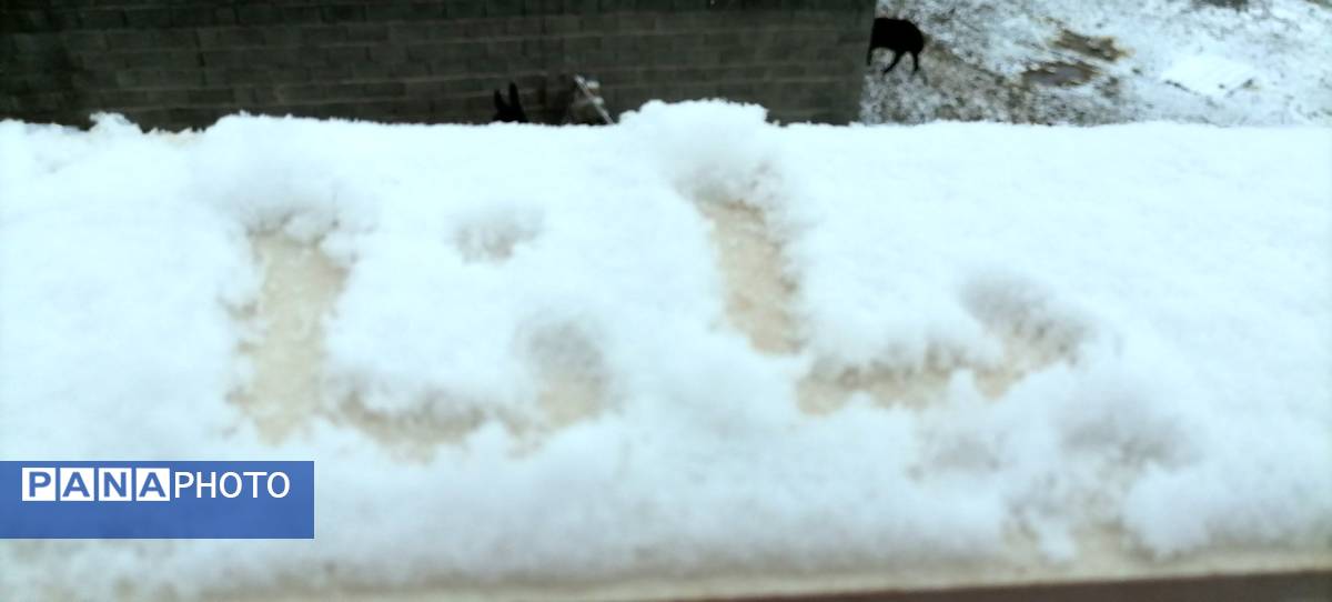 دومین بارش برف پاییزی در شهرزیبای بار نیشابور