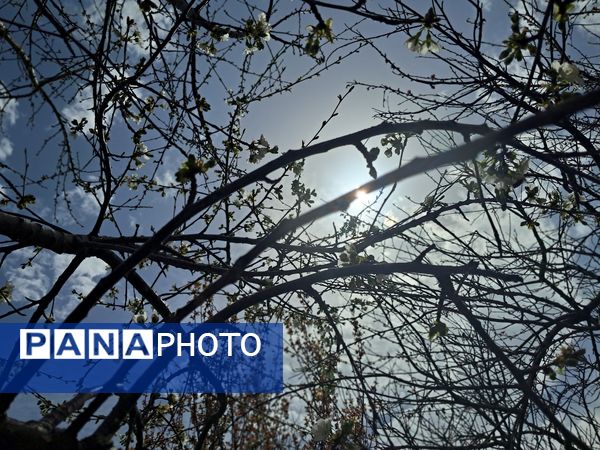 زیبایی های طبیعی شهرستان پاوه به روایت تصویر