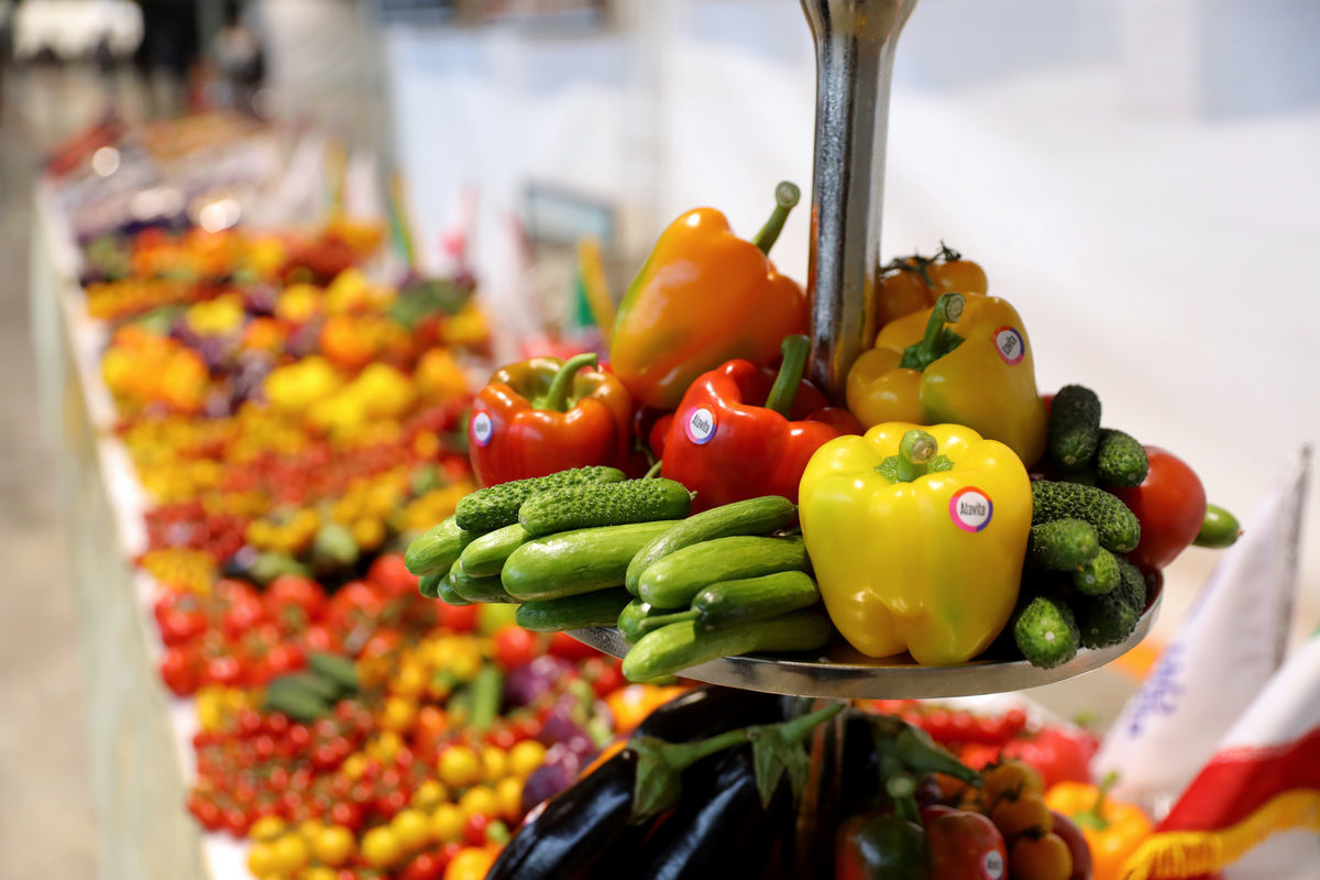 راه‌اندازی میدان مرکزی بزرگ محصولات کشاورزی به‌زودی در تهران