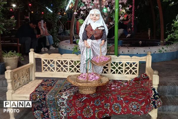 آغاز سمفونی گل و گلاب در مهد گل محمدی