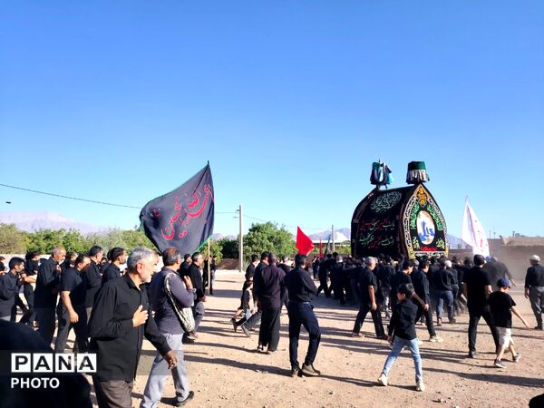 نخل‌برداری روز عاشورا در روستای صالح آباد شهرستان تفت