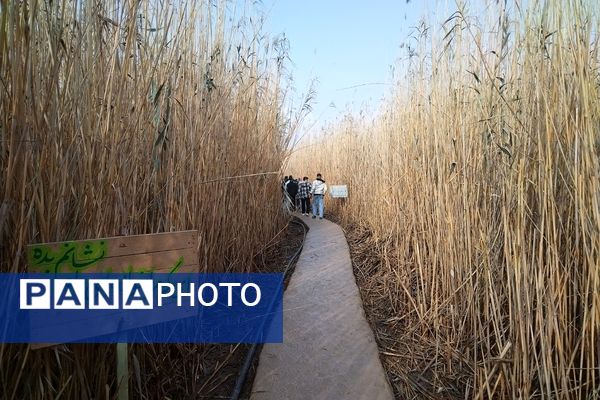راهیان نور؛ سفری به قلب ایثار و شهادت 