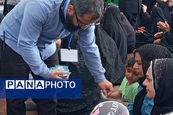 استقبال مردم کهگیلویه و بویراحمد از پرچم امام رضا (ع)