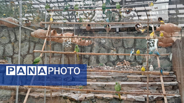 باغ پرندگان قم: جاذبه‌ای بی‌نظیر در قلب کشور
