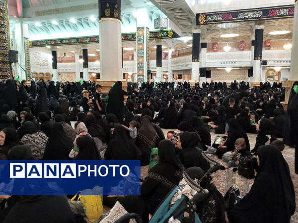 همایش شیرخوارگان حسینی(ع) در قم -3