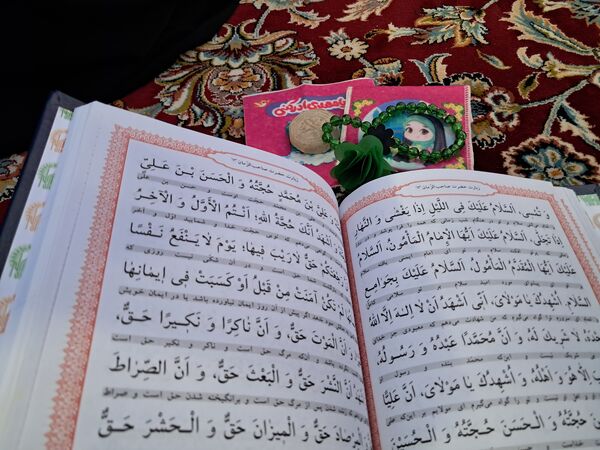 کبوتر حرم مشهد مقدس