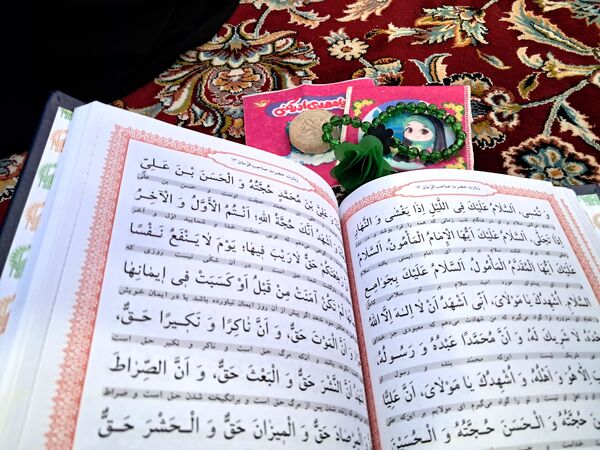 کبوتر حرم مشهد مقدس