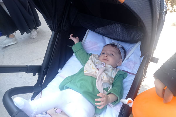 همه مردم شیراز فریاد حمایت از فلسطین سر دادند