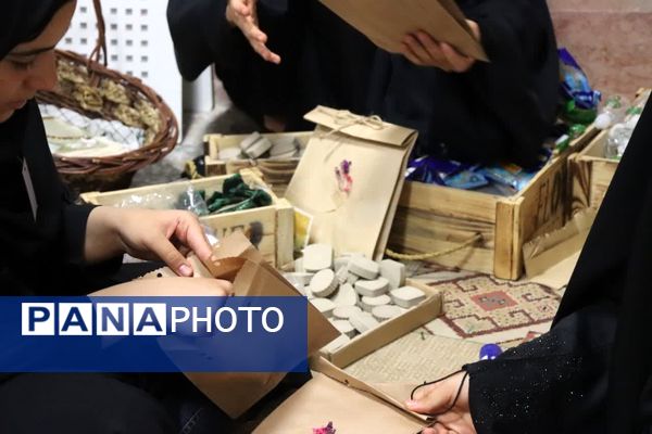 طرح یاوران ولایت پیشگامان