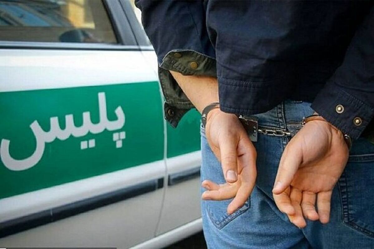 دستگیری و استرداد دو قاتل فراری با همکاری پلیس بین الملل فراجا