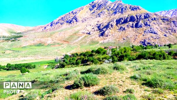 طبیعت دَستَنا؛ جلوه‌ای کم‌نظیر از آرامش و زیبایی در دل چهارمحال و بختیاری